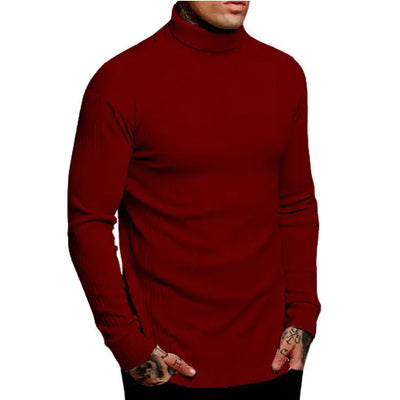 Casual Men's High Neck Solid Color Knitwear
