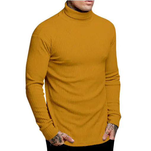 Casual Men's High Neck Solid Color Knitwear