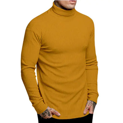Casual Men's High Neck Solid Color Knitwear